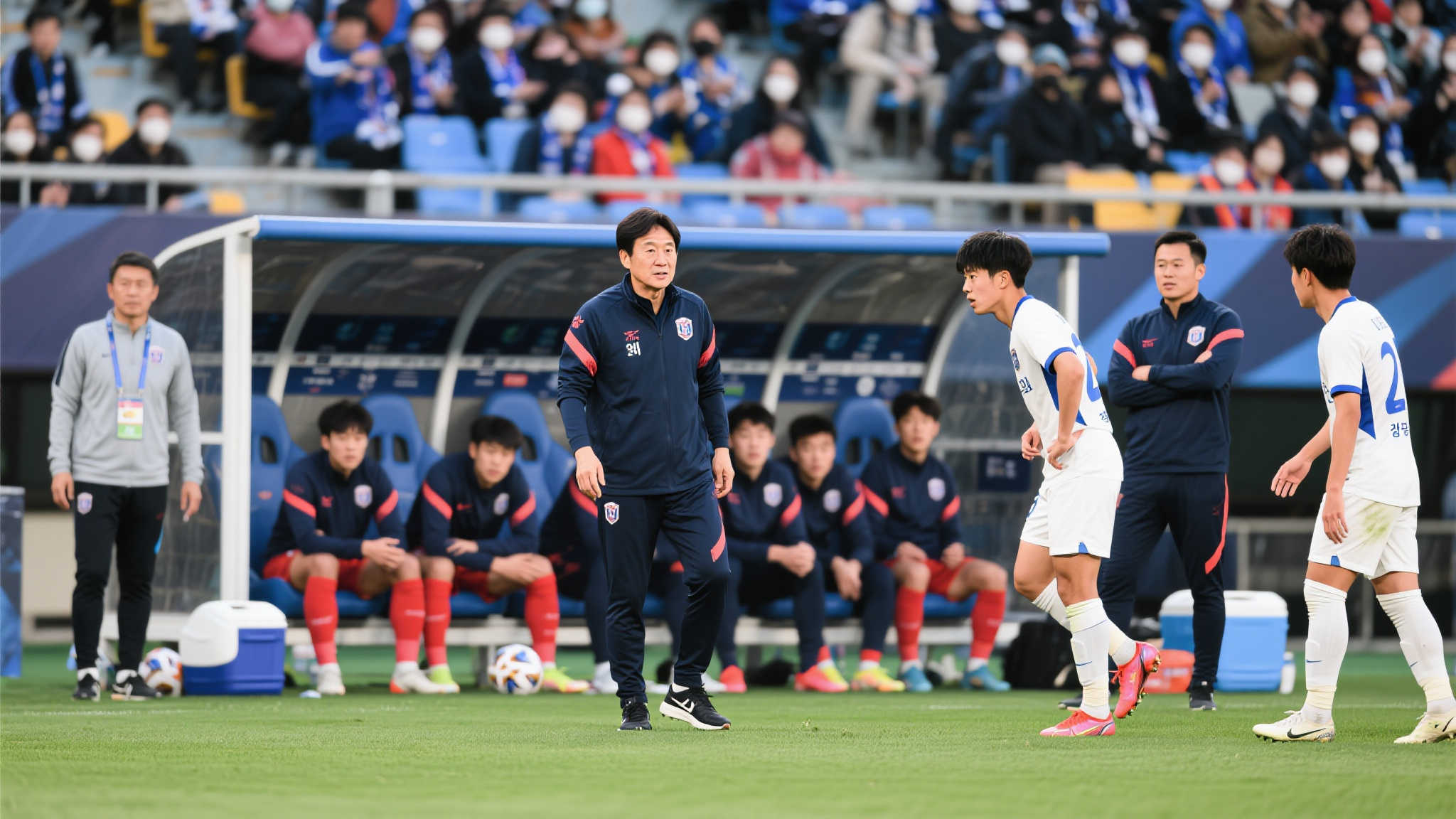 因其坚韧不 因其坚韧不