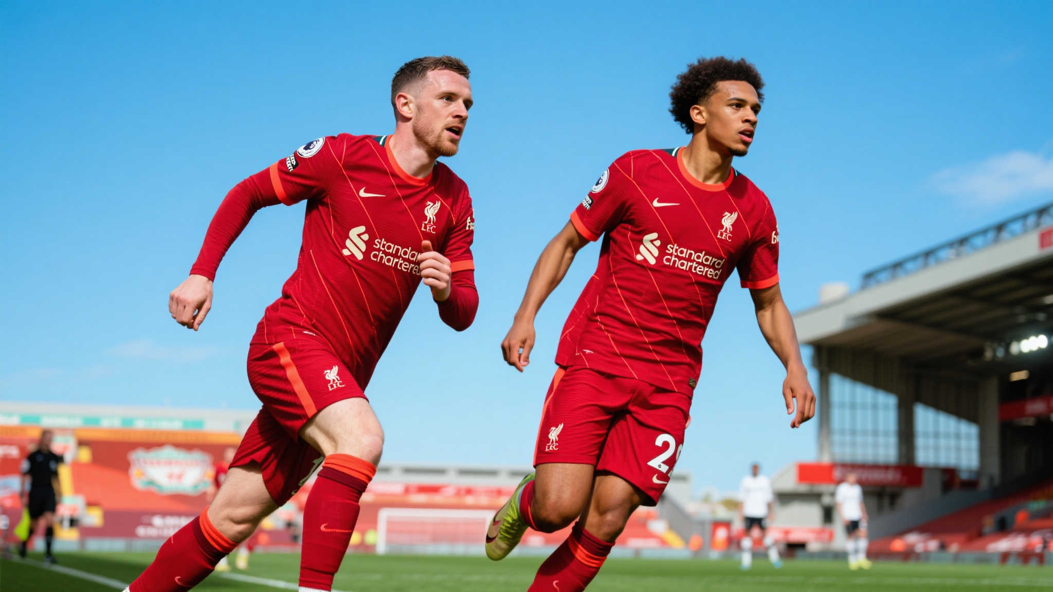 职业球员的 职业球员的