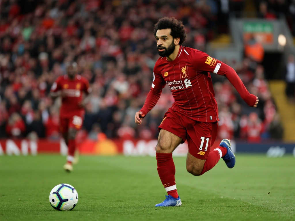 己的公众形 己的公众形